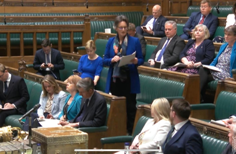 Speaking in the chamber